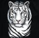 L'avatar di TigerDux